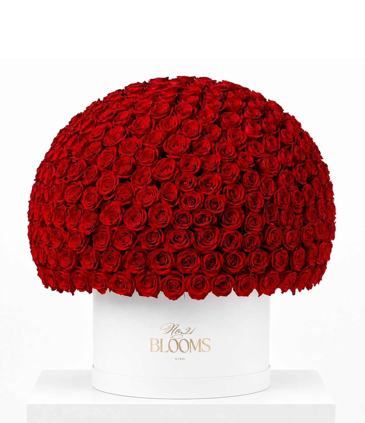350 red roses dome