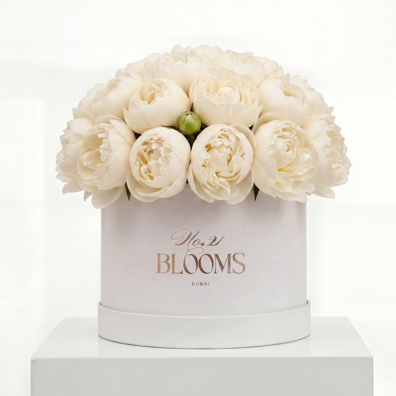 45 Premium Peonies — Creamy White | No.21 Blooms Dubai