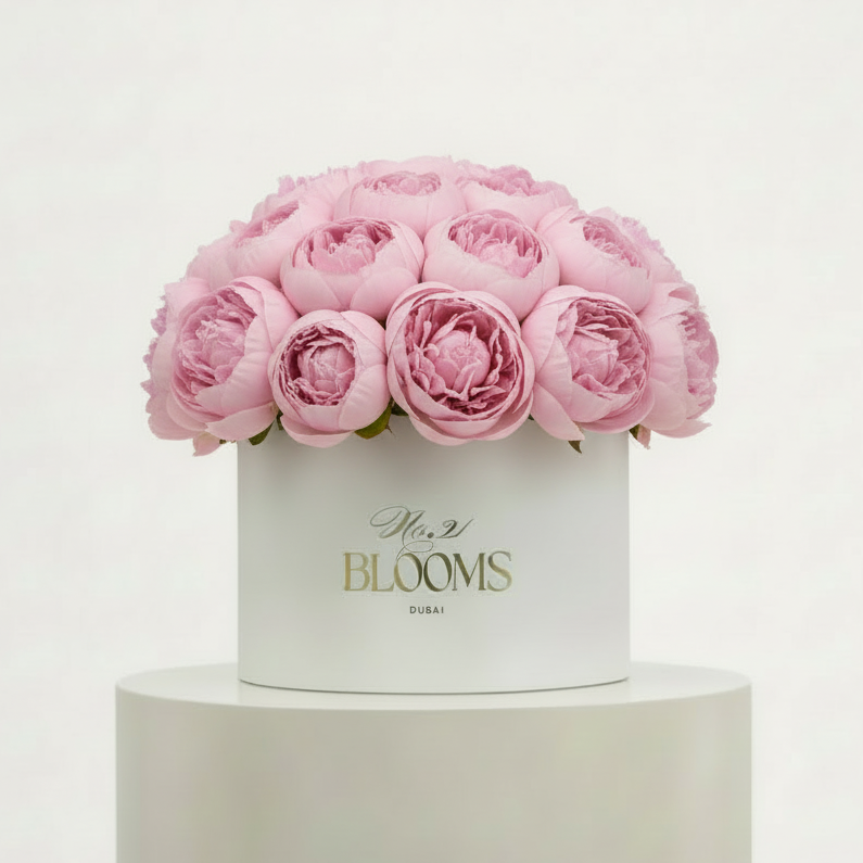 Peony Box 35 — Light Pink | No.21 Blooms Dubai