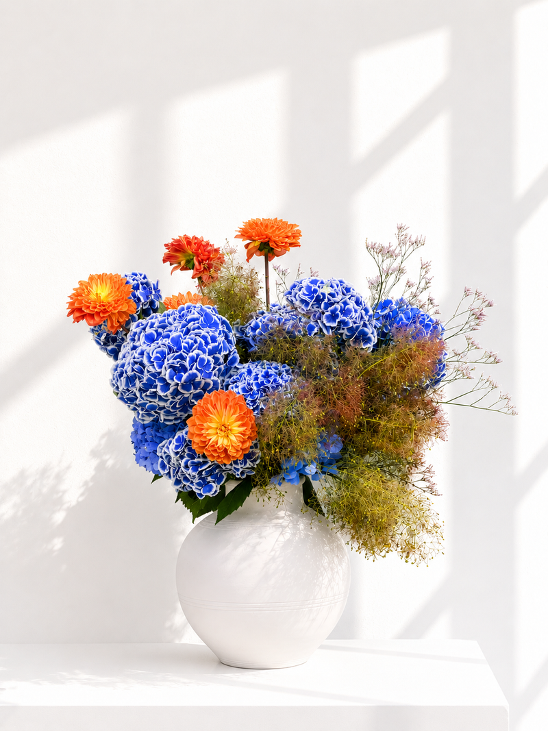 Hydrangea Etoile
