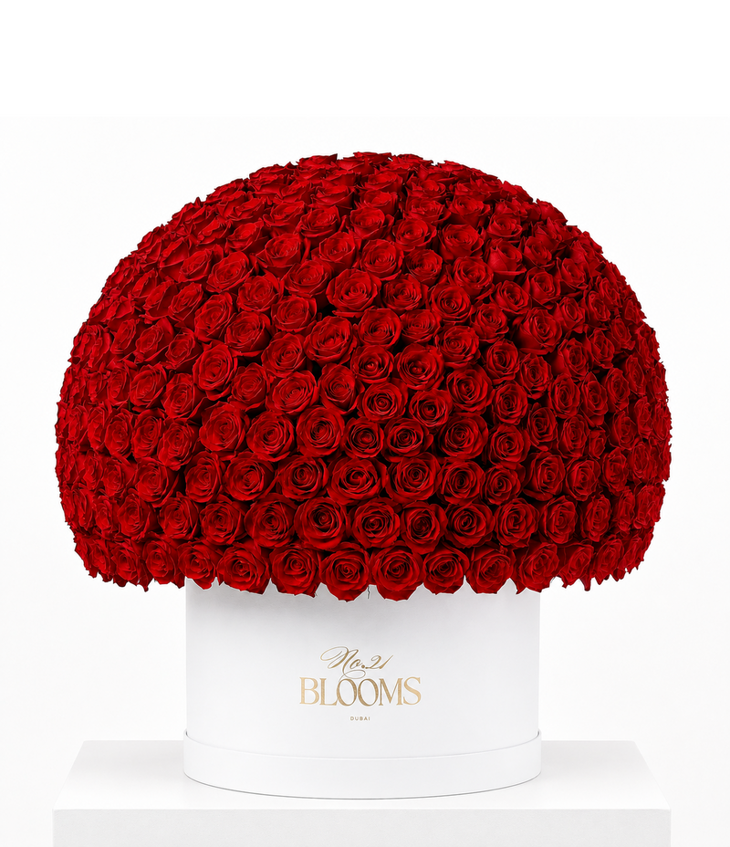 350 red roses dome