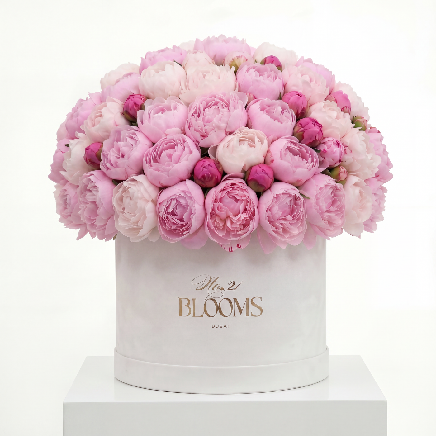 101 Premium Peonies in Signature Box