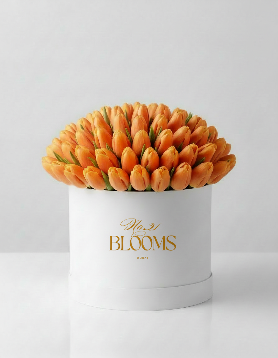 Tulips Large Box